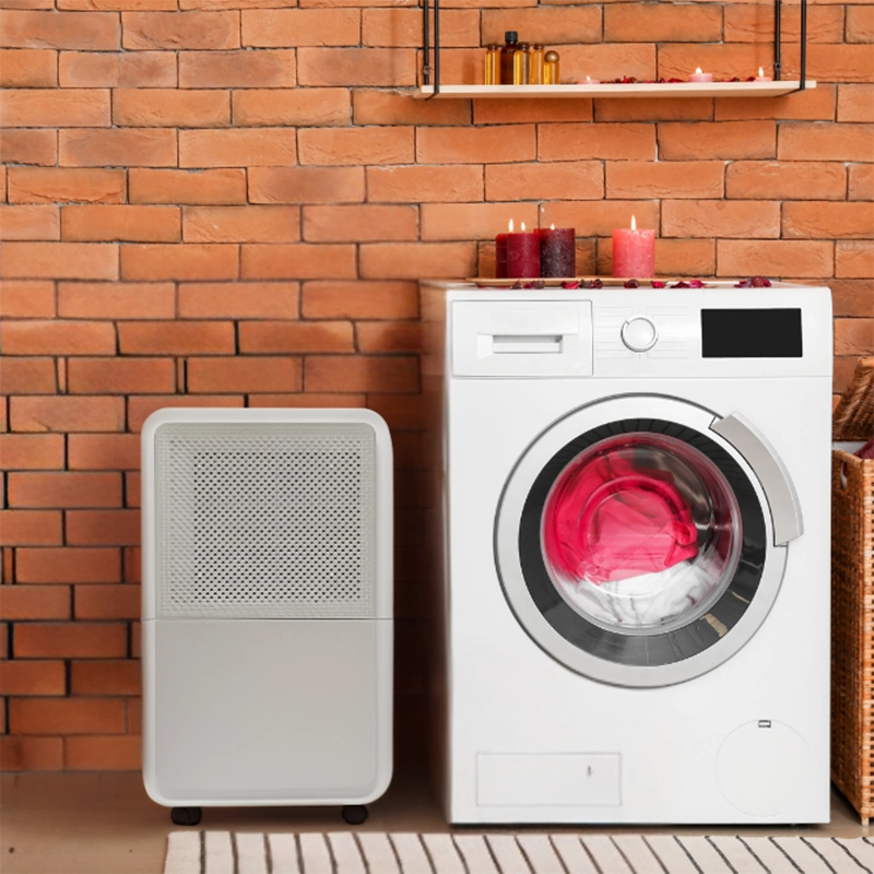 REGULUS – razvlaževalec zraka