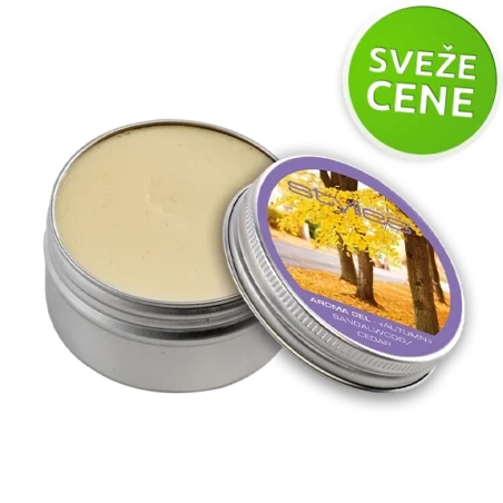 STYLIES – Aroma Gel Autumn CEDAR